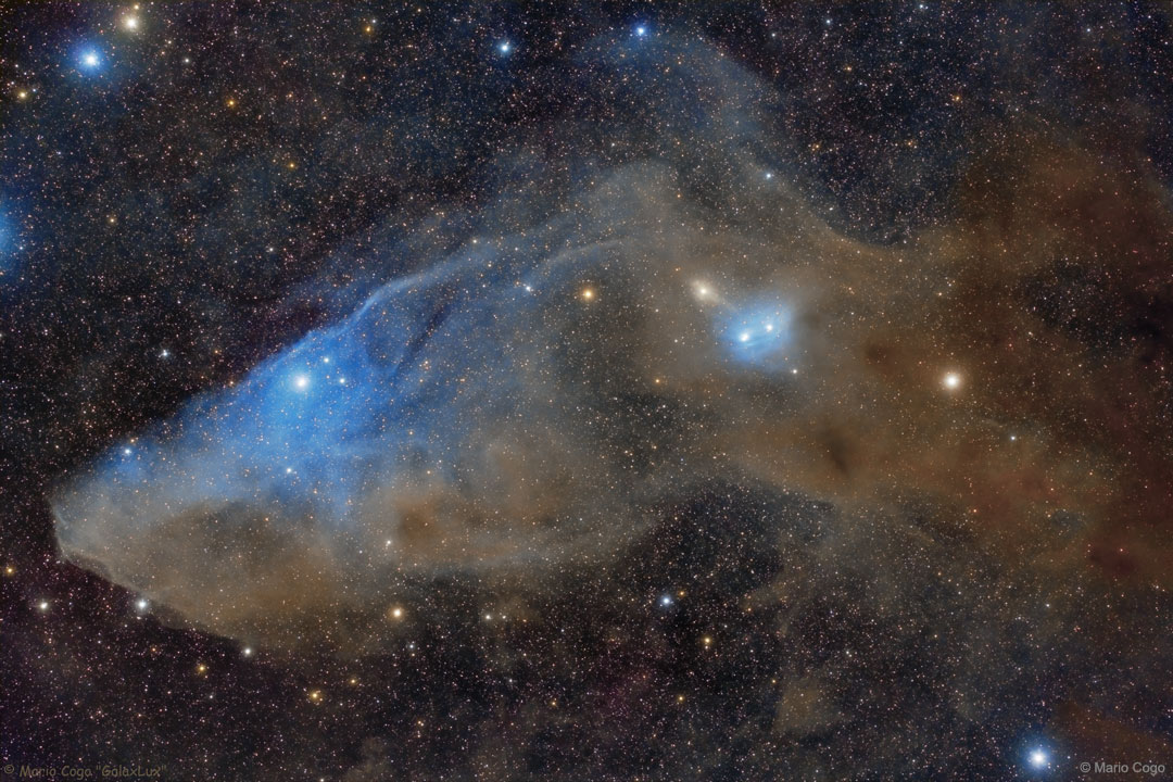 IC 4592:蓝色马头反射星云