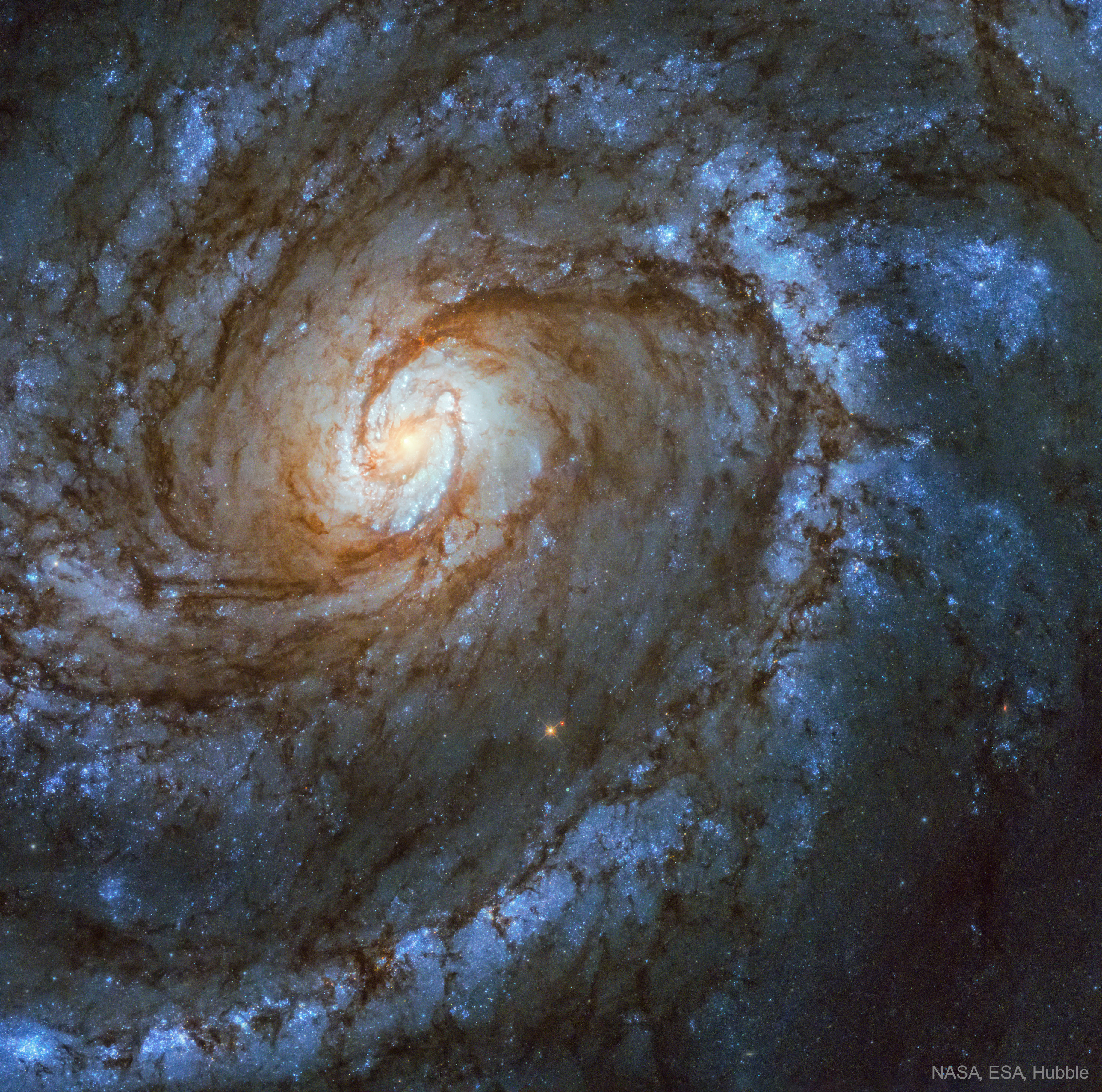 M100_HubbleWfc3_3679.jpg