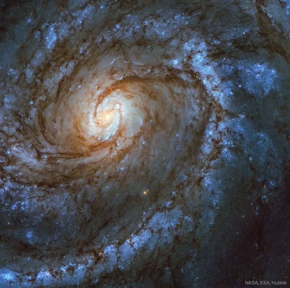 M100:一个设计宏伟的螺旋星系