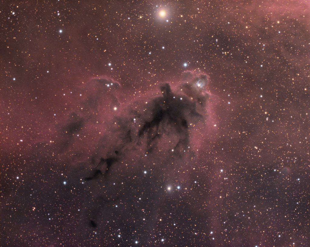LDN 1622:猎户座的暗星云
