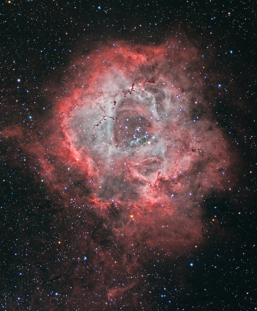 宇宙玫瑰:独角兽中的玫瑰星云