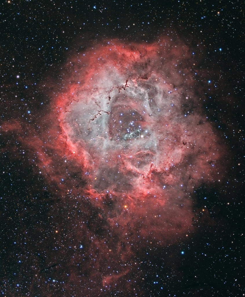 052 - TRAVANJ 2019. JMD_Rosette_Rotated1024