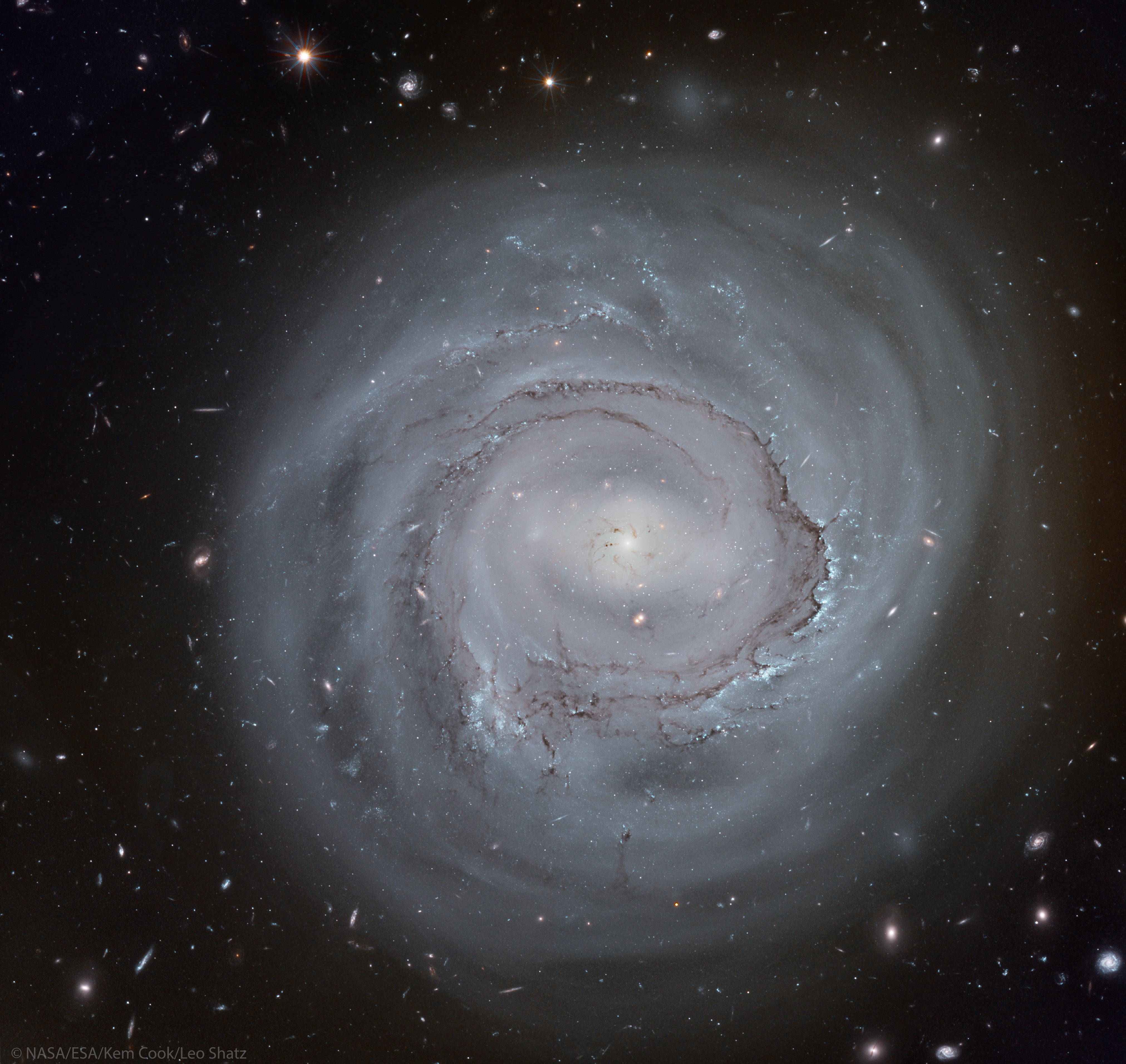[Image: NGC4921_HubbleShatz_4046.jpg]
