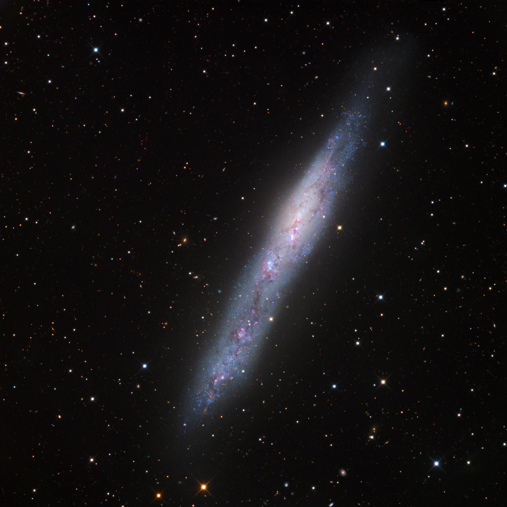  055 - SRPANJ 2019. NGC55-LRGB_hager1024