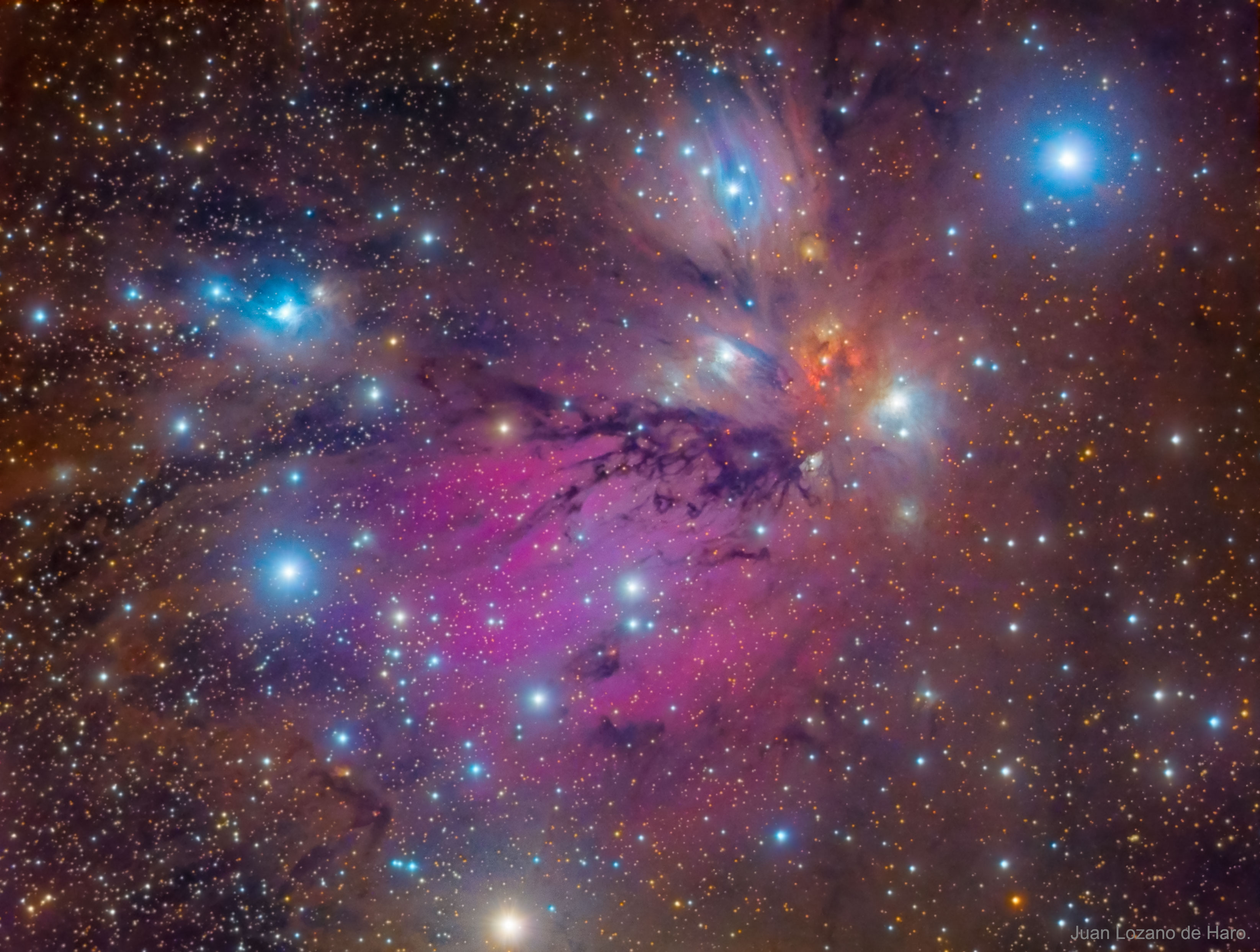 angel nebula