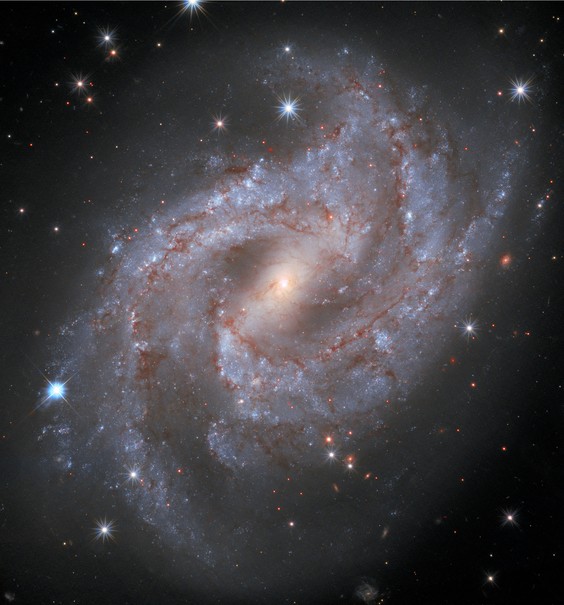 每日星空：ngc2525的超新星