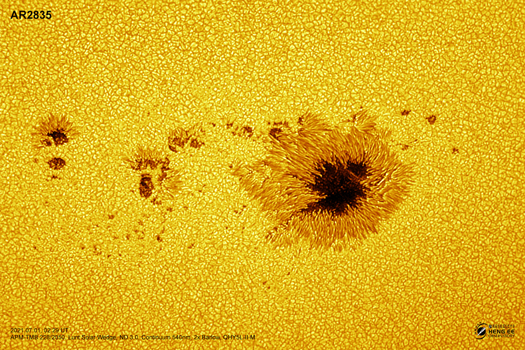 AR2835: Islands in the Photosphere
