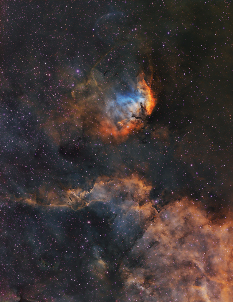 The Tulip and Cygnus X 1