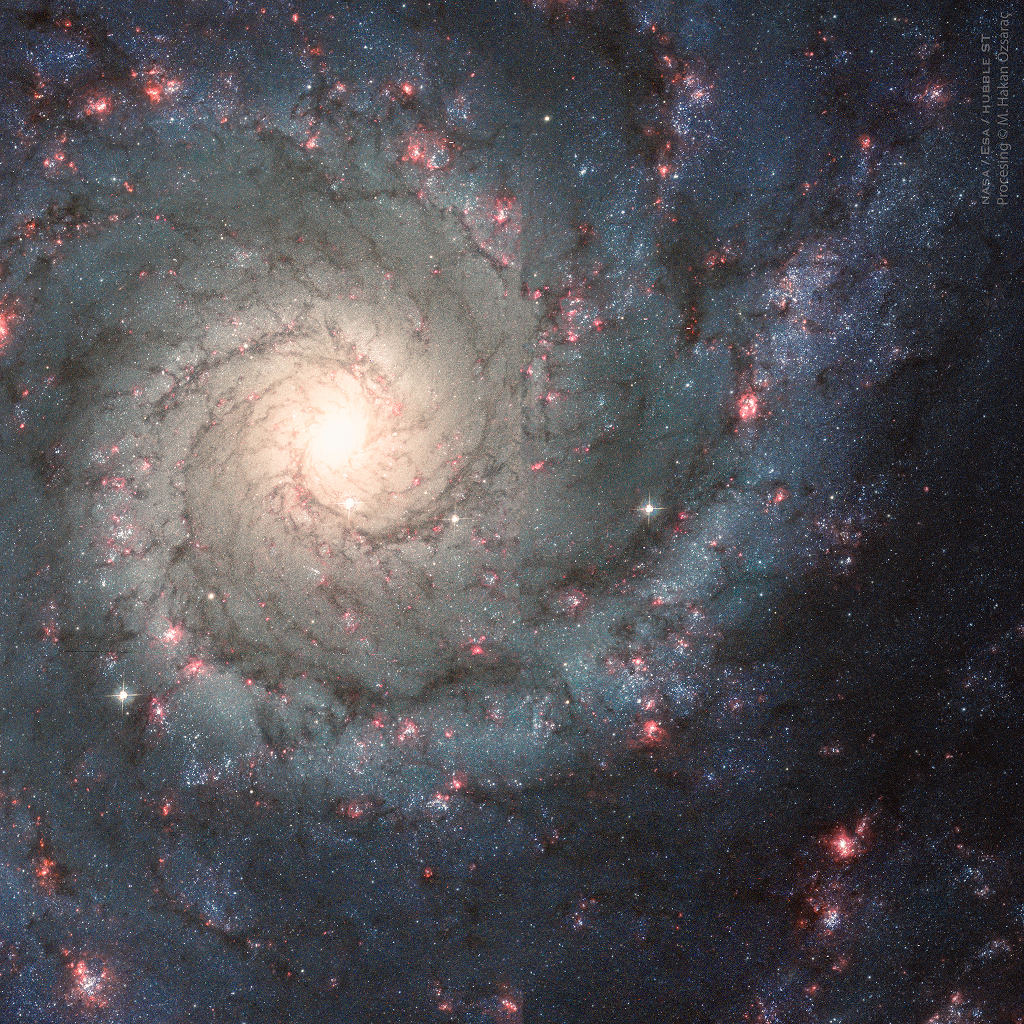 Galaxy M74