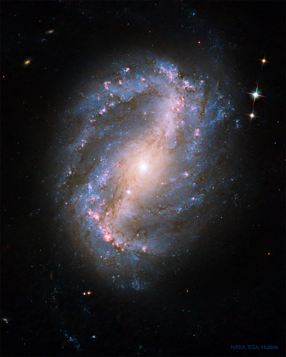 Galaxia espiral con barras NGC 6217