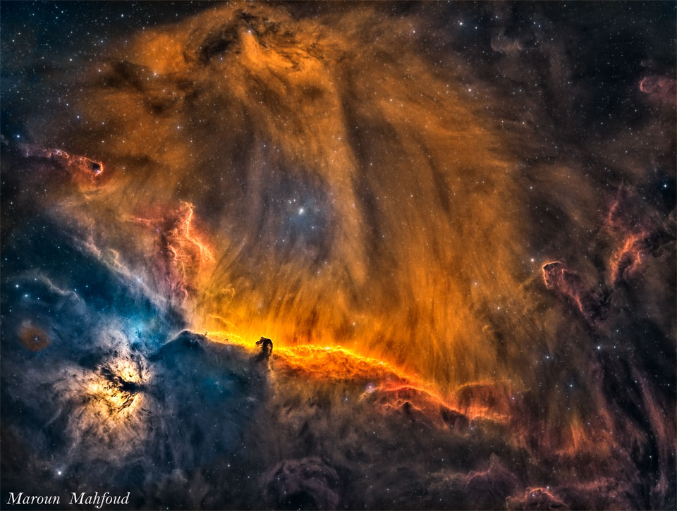 The featured image shows the the part of the  constellation of Orion where the Horsehead and Flame Nebulas reside. The gaseous wisps above the Horsehead can appear, in this deep exposure, to be a lion's head. Please see the explanation for more detailed information.