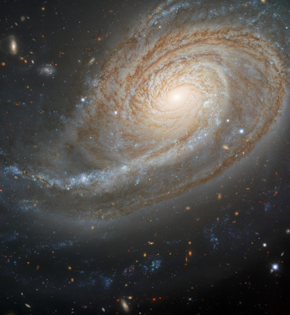 Arp 78: Peculiar Galaxy in Aries