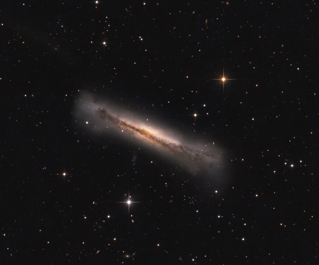 NGC 3628的肖像