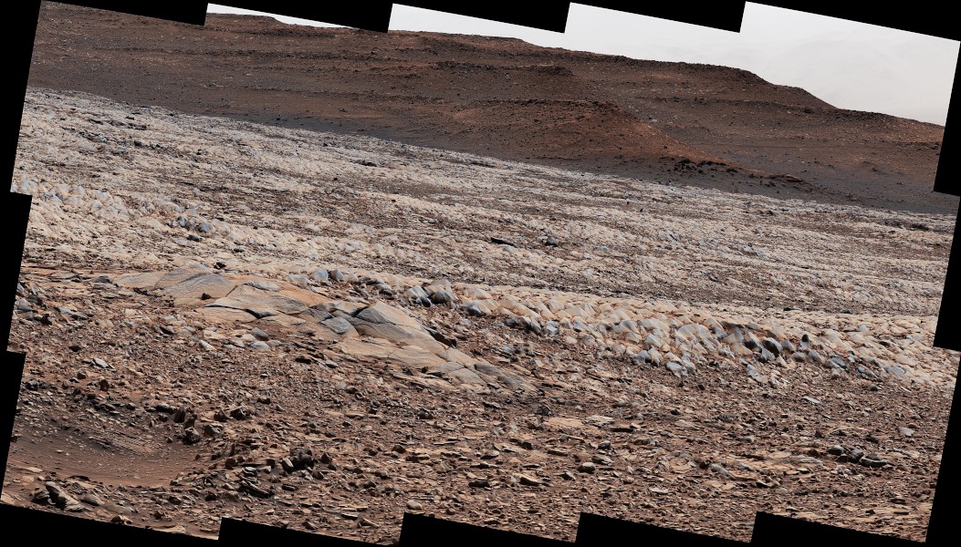 火星上的“鳄鱼背”岩石