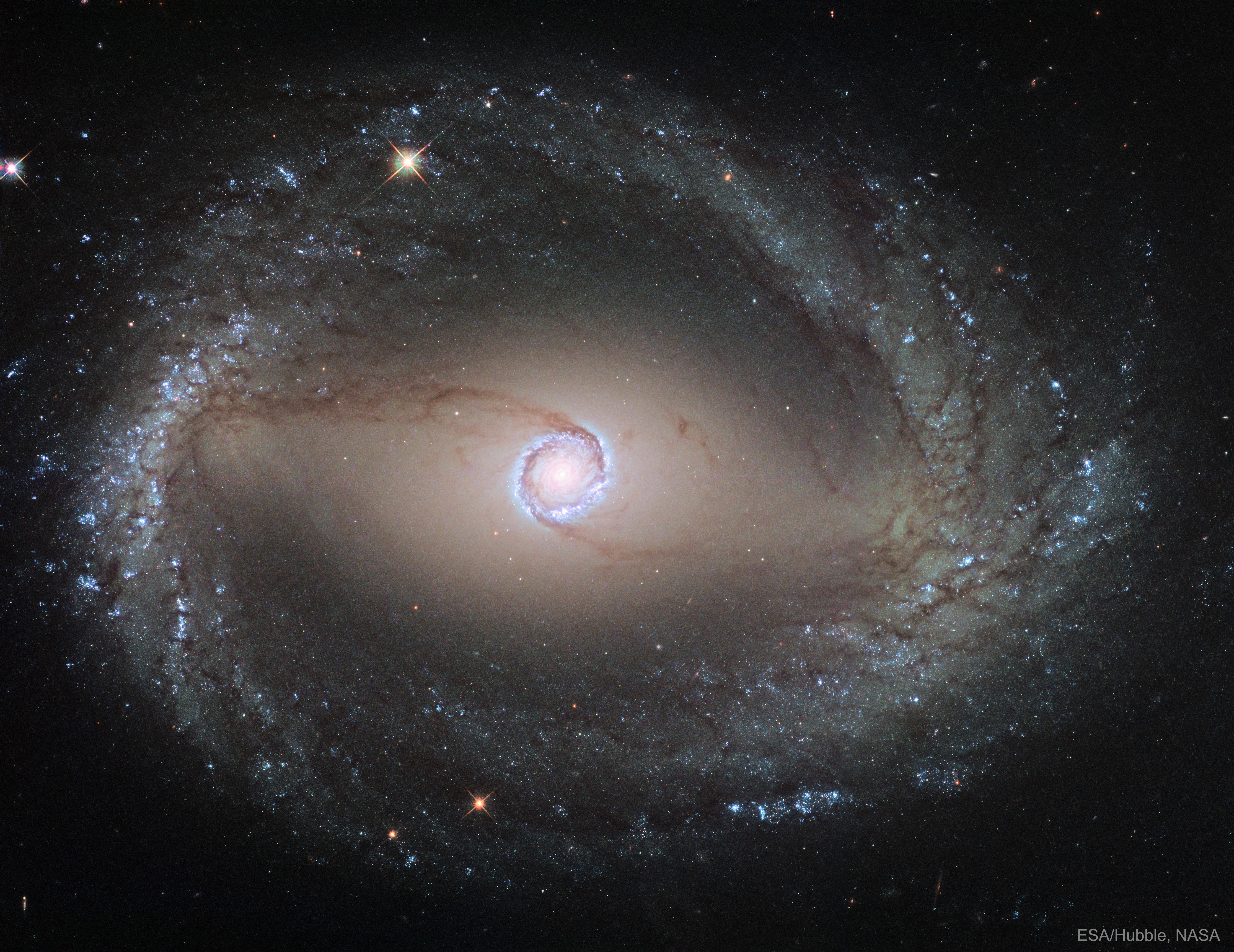 螺旋星系NGC 1512:内环