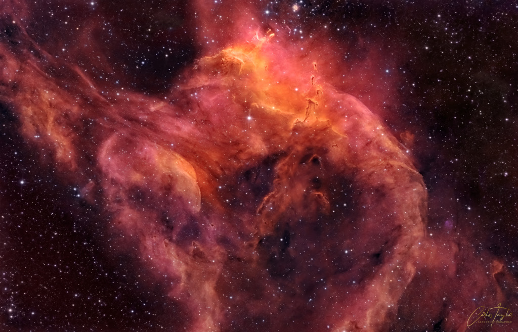 NGC 3572 和南蝌蚪星云