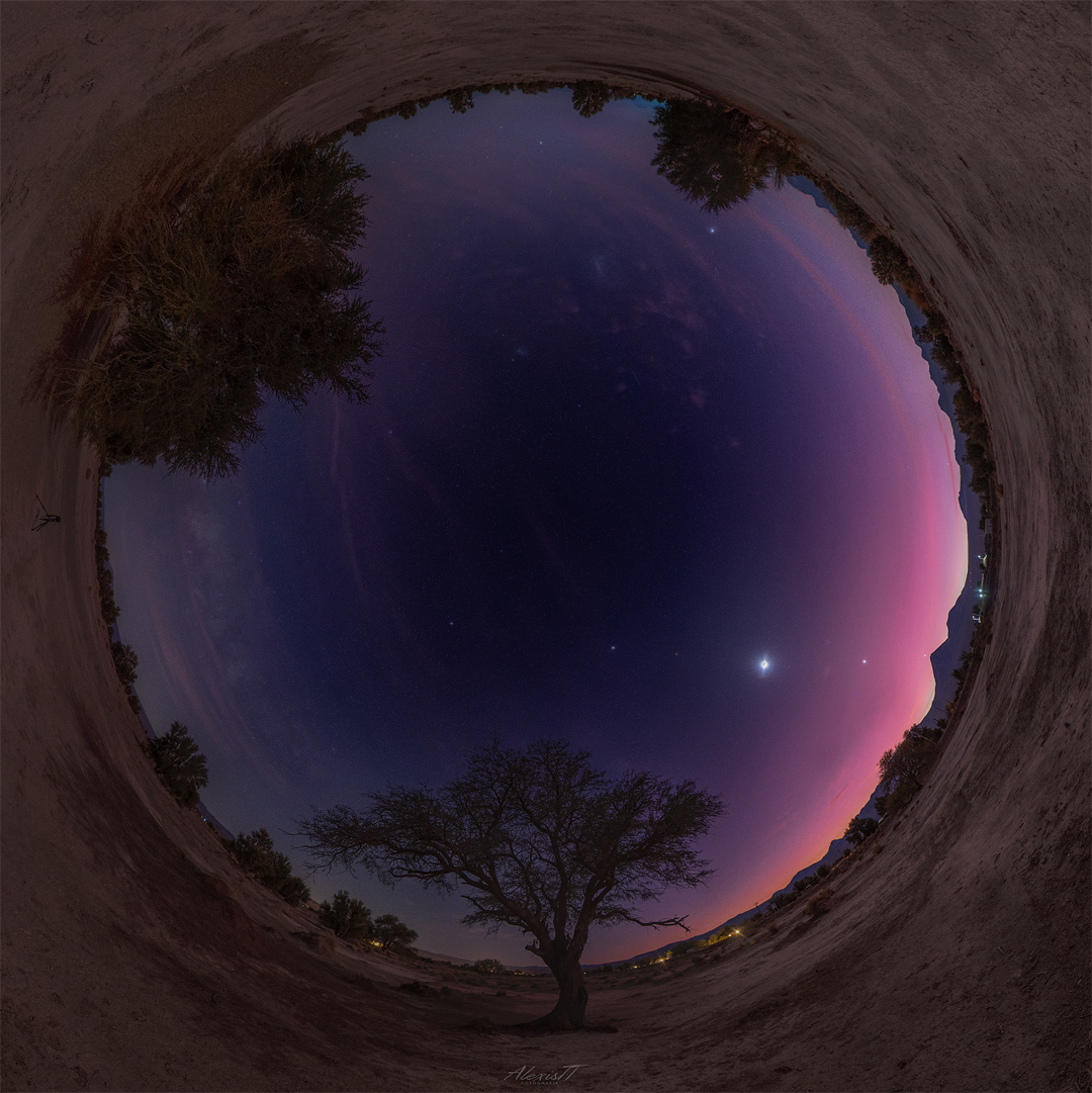 The featured image is a circular, fisheye, all-sky image 
showing every planet in the Solar System lined up horizontally 
along the image center, along with Earth's Moon. Trees and 
hills from the Atacama Desert link populate the outer circle edge.
Please see the explanation for more detailed information.