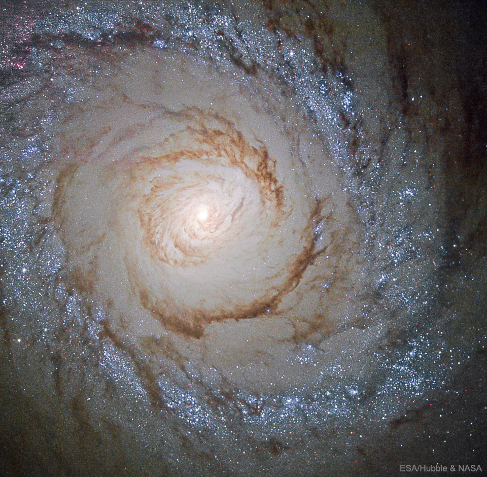 哈勃拍摄的星暴星系 M94