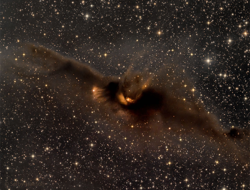 The featured image shows a dark brown molecular cloud in front of a distant star field. The cloud has the appearance of a flying bat. Please see the explanation for more detailed information.