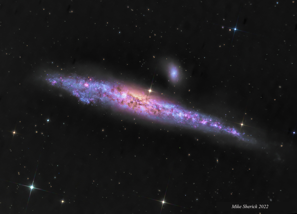 NGC 4631 : La galaxie des baleines