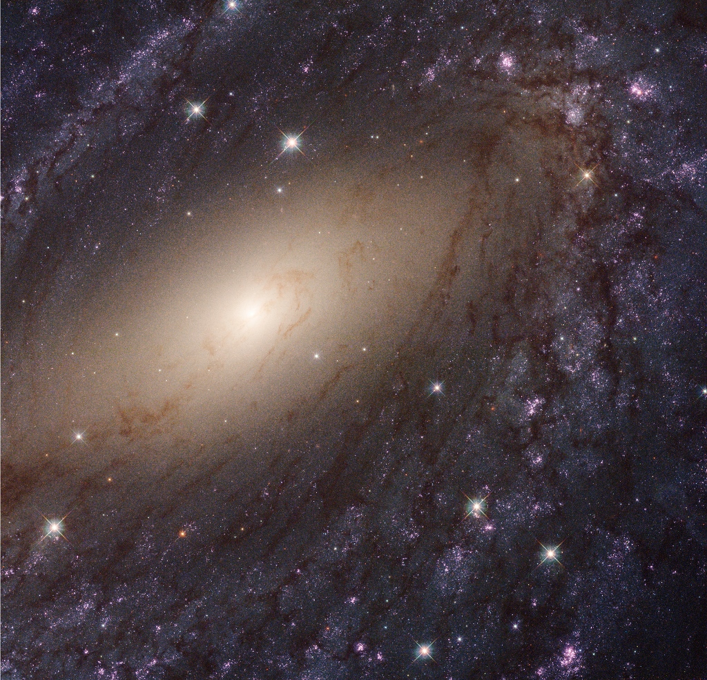 NGC 6744: Extragalactic Close-Up