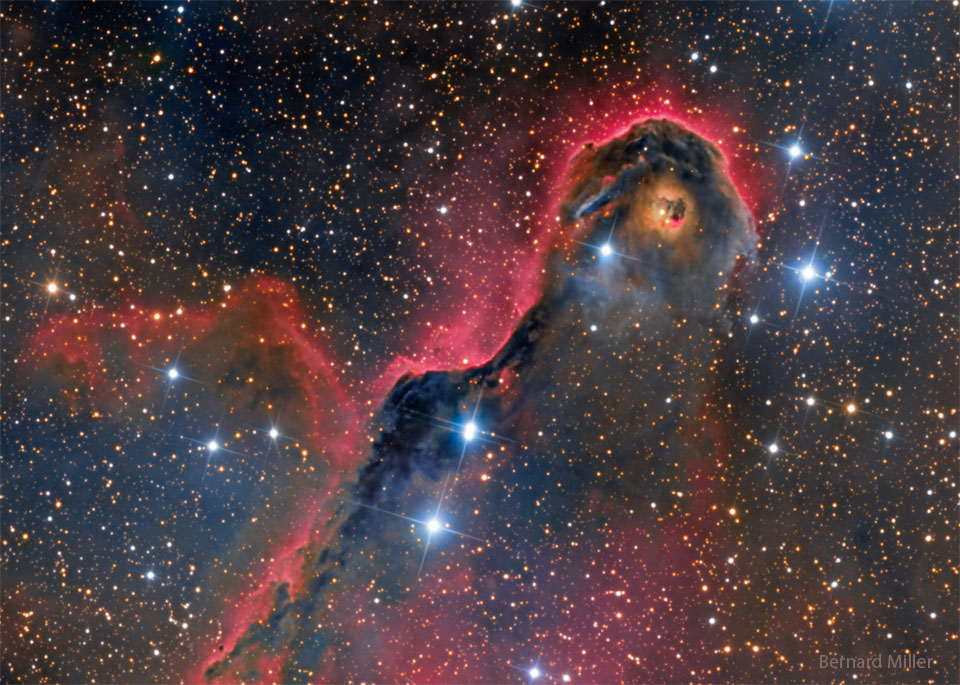 The featured image shows an interstellar gas globule
that looks like a monster superposed against a glowing red
background.
Please see the explanation for more detailed information.