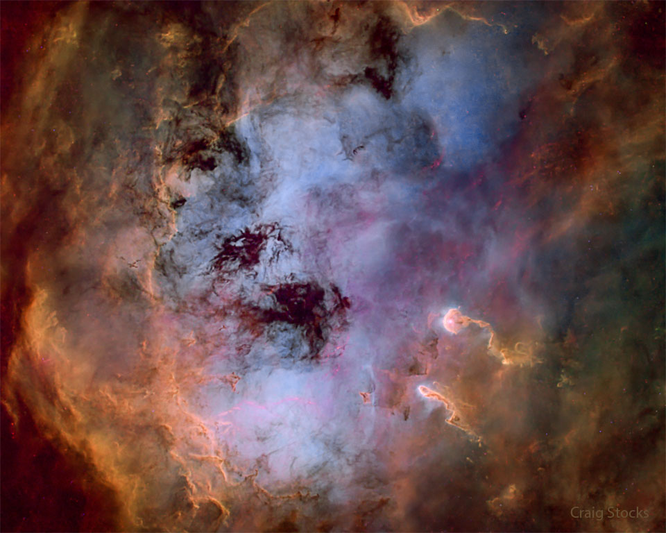 La nebulosa del Renacuajo en gas y polvo