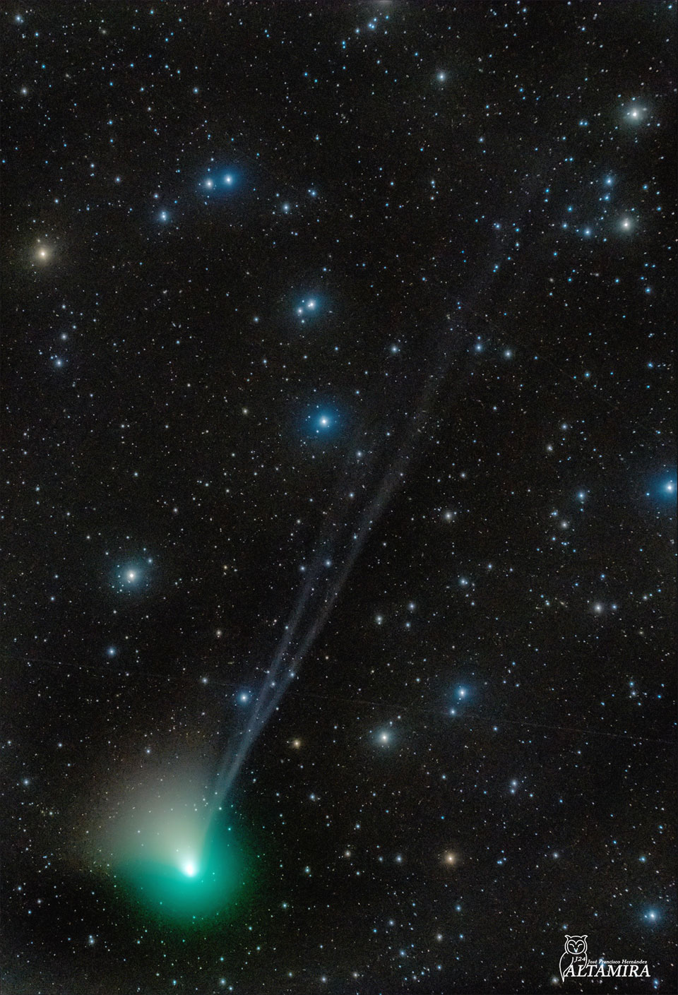 New Comet ZTF is pictured sporting three tails in front of a background of stars. Please see the explanation for more detailed information.