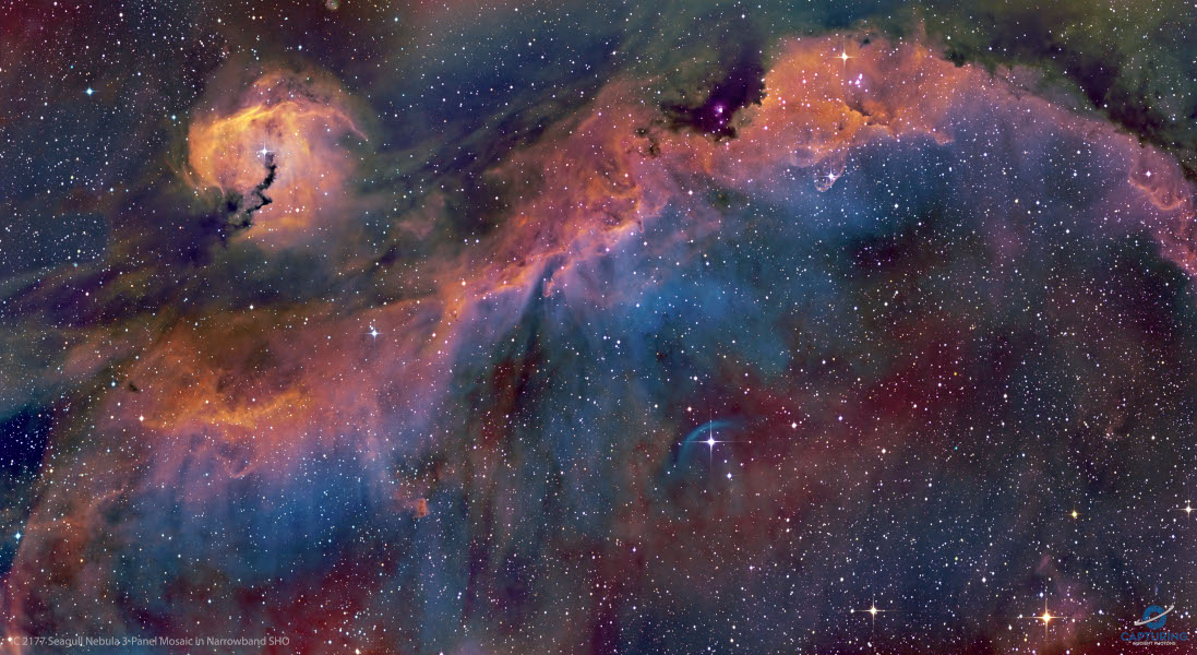 La nebulosa de la Gaviota