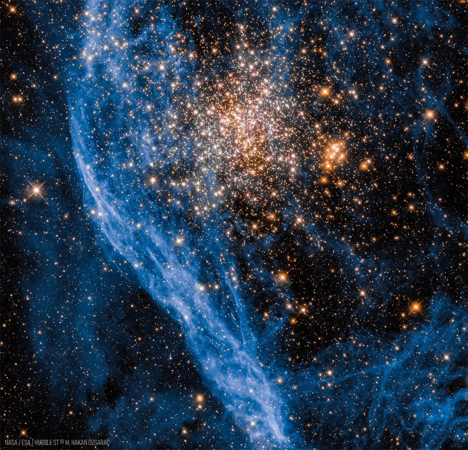 A ball of yellow stars is seen to the right of blue-glowing  gas filaments. Other blue filaments and foreground stars cover  the frame.   Please see the explanation for more detailed information.