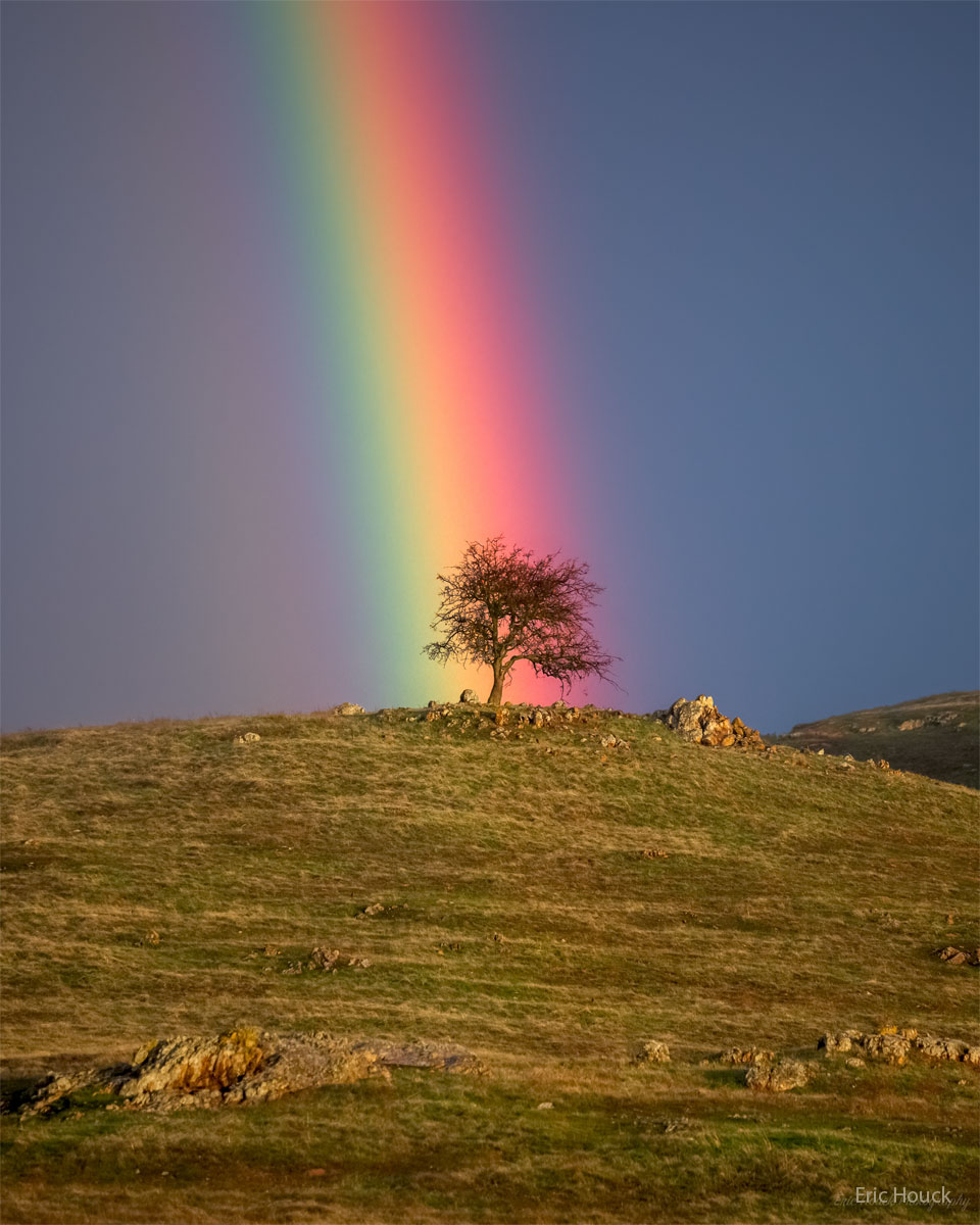 A grassy hill is seen topped by a small tree. The tree
appears to be at the end of a bright and colorful rainbow.
Please see the explanation for more detailed information.