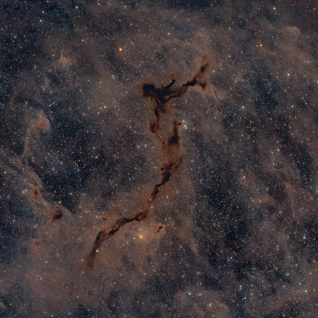 The Dark Seahorse in Cepheus