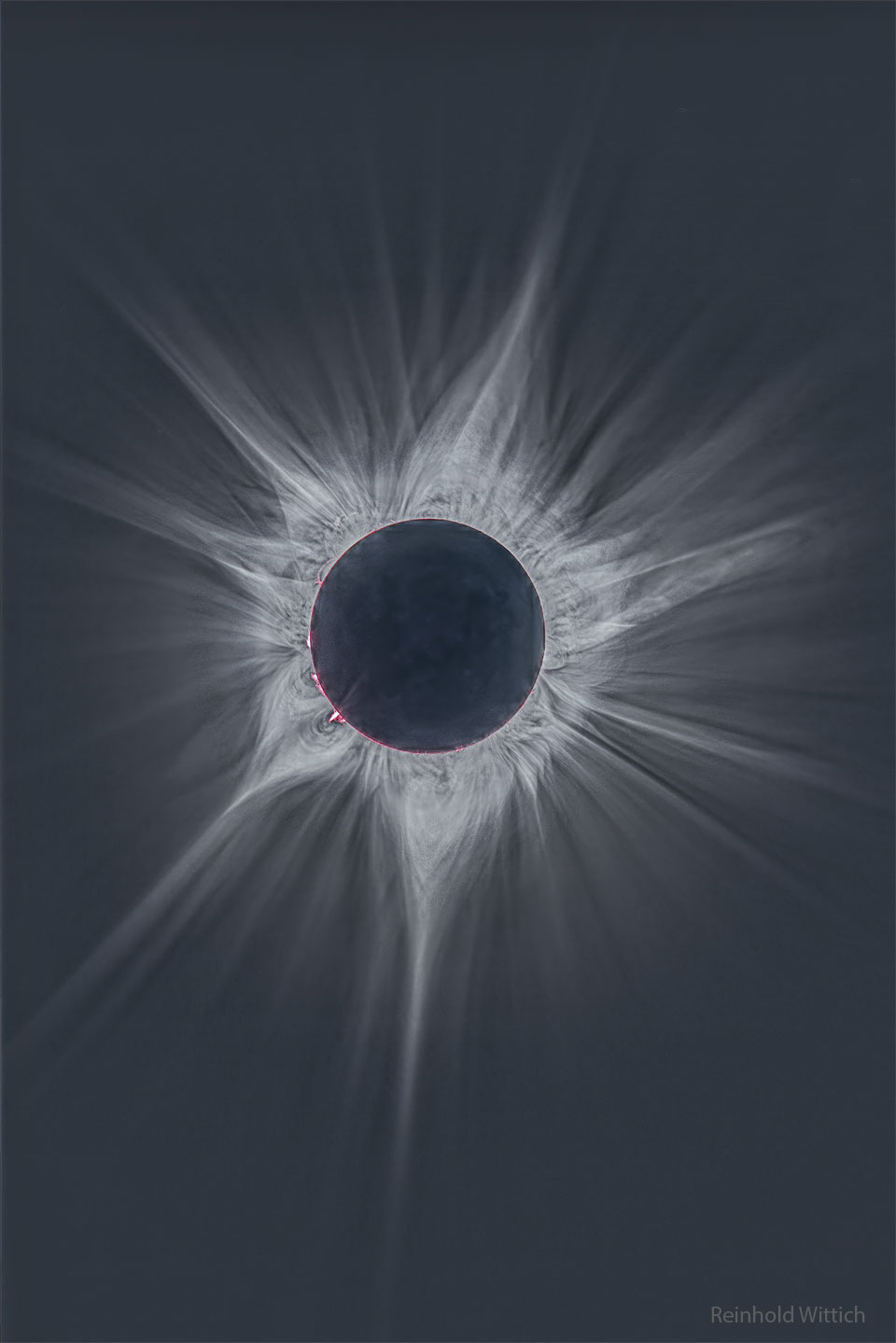 A deep image of the Sun's surrounding corona during the 
April 2023 total solar eclipse. The central disk is dark and
many bright and complex rays are seen extending out. A few hot pink
filaments can be seen just around the Sun's edge.
Please see the explanation for more detailed information.