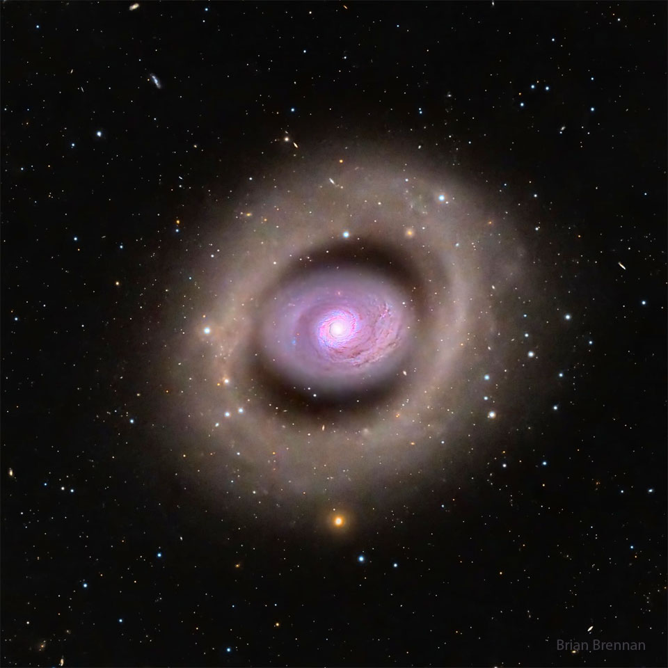 A spiral galaxy is seen in the image center with a distinct  purple hue. The galaxy features a bright inner ring, but even  outside of that appears another large ring. The outer rings  appears light brown. Foreground stars are visible throughout  the image.  Please see the explanation for more detailed information.