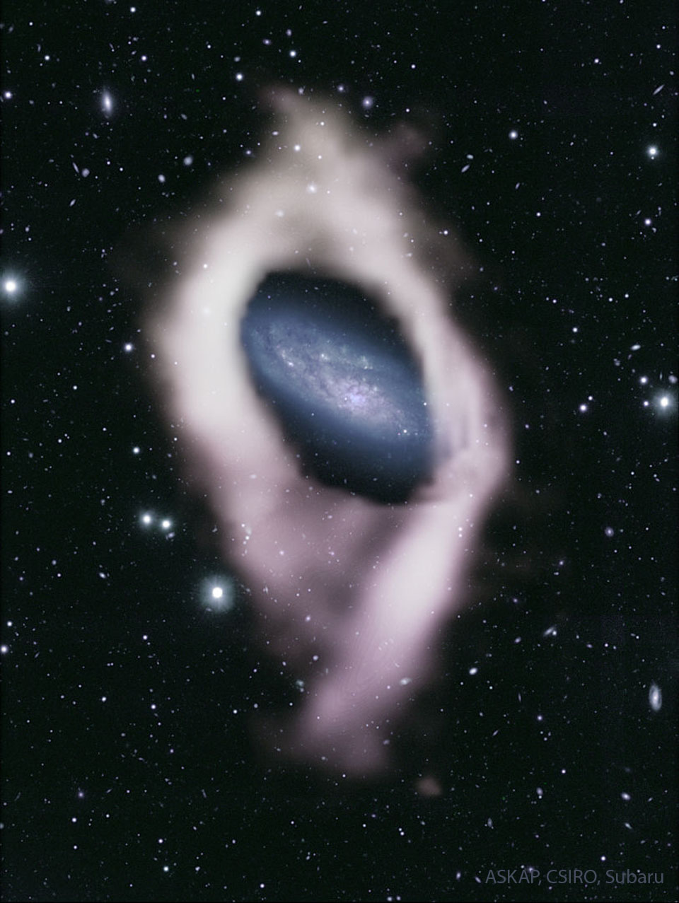 A galaxy with blue spiral arms is seen in the image center  in the midst of numerous foreground stars. This galaxy is surrounded by a white envelope of gas.
