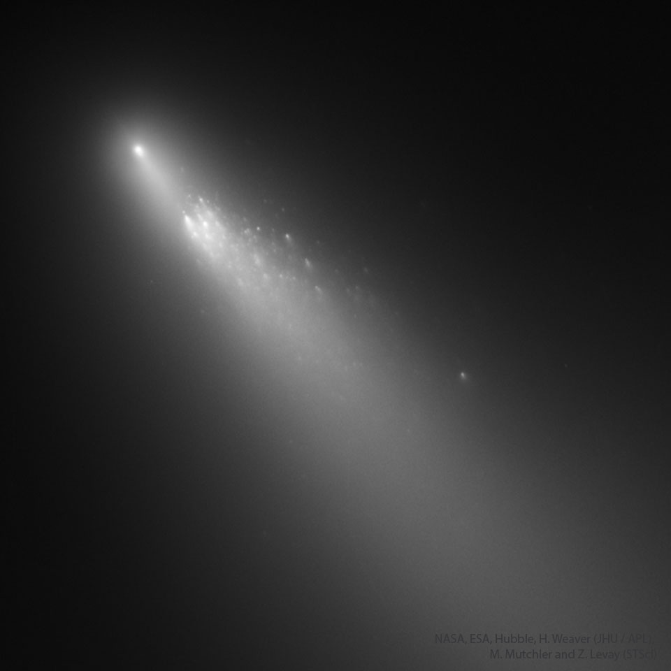 A fuzzy comet is shown in gray on the upper left against
a dark space background. The comet's tail extends diagnonally
to the lower right. The main part of the comet is seen 
broken up into many trailing pieces. 
Please see the explanation for more detailed information.