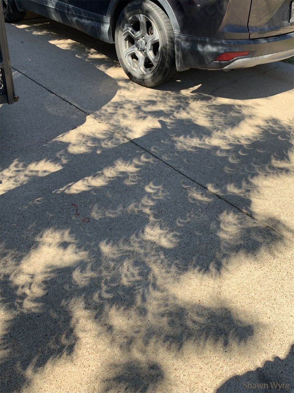 An Eclipse Tree