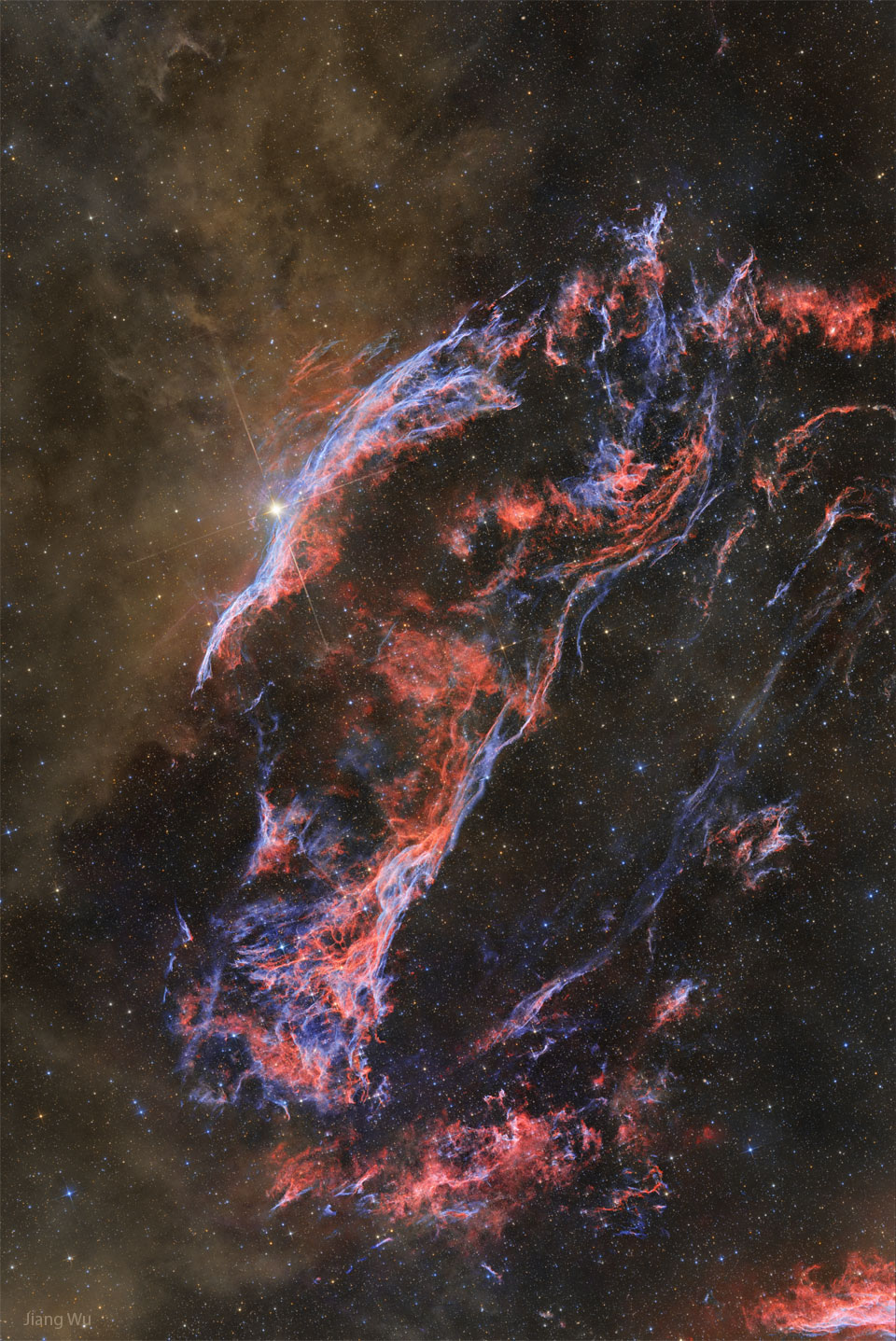 Dust and the Western Veil Nebula