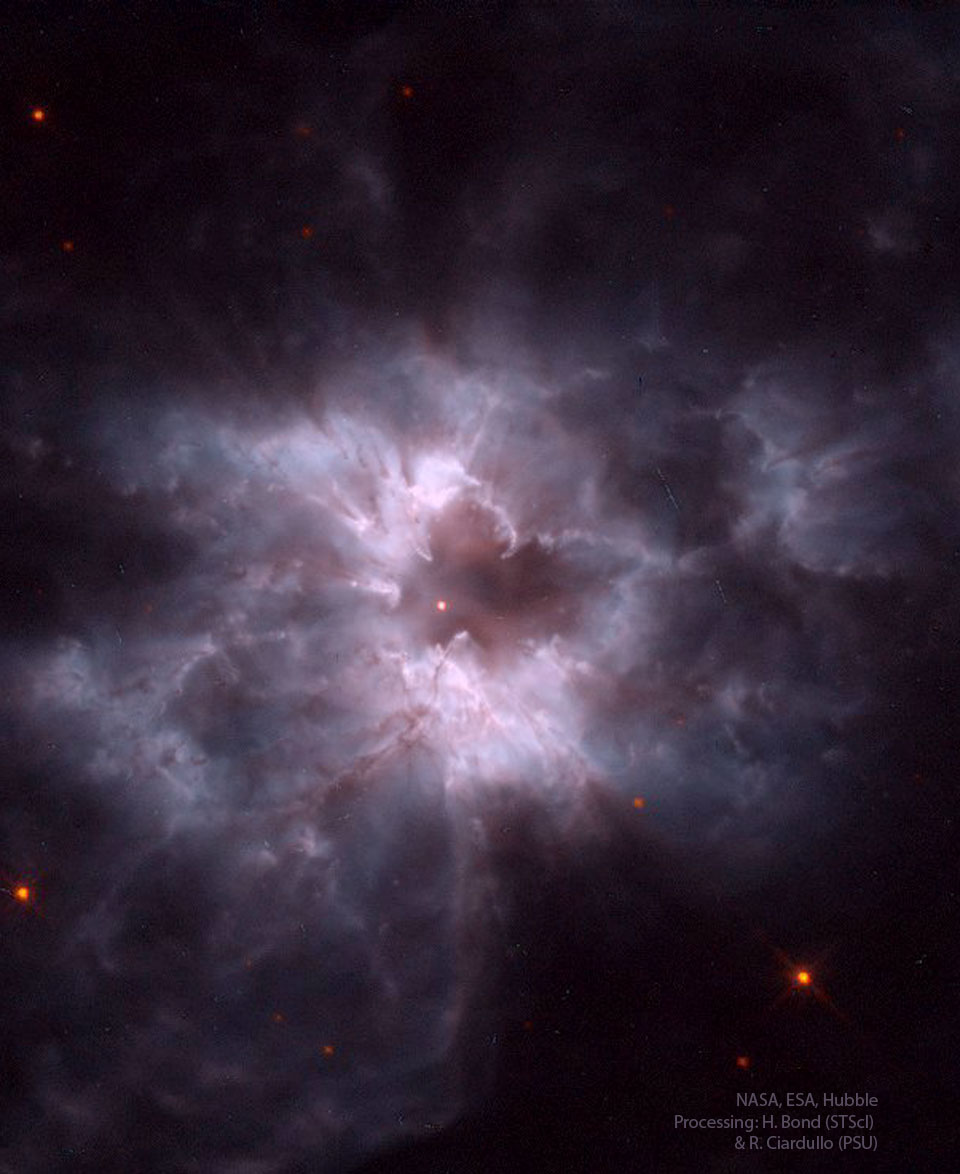 A nebula in purple and pink is shown with dust pillars 
curving around. In the center is a bright orange spot.
Please see the explanation for more detailed information.
