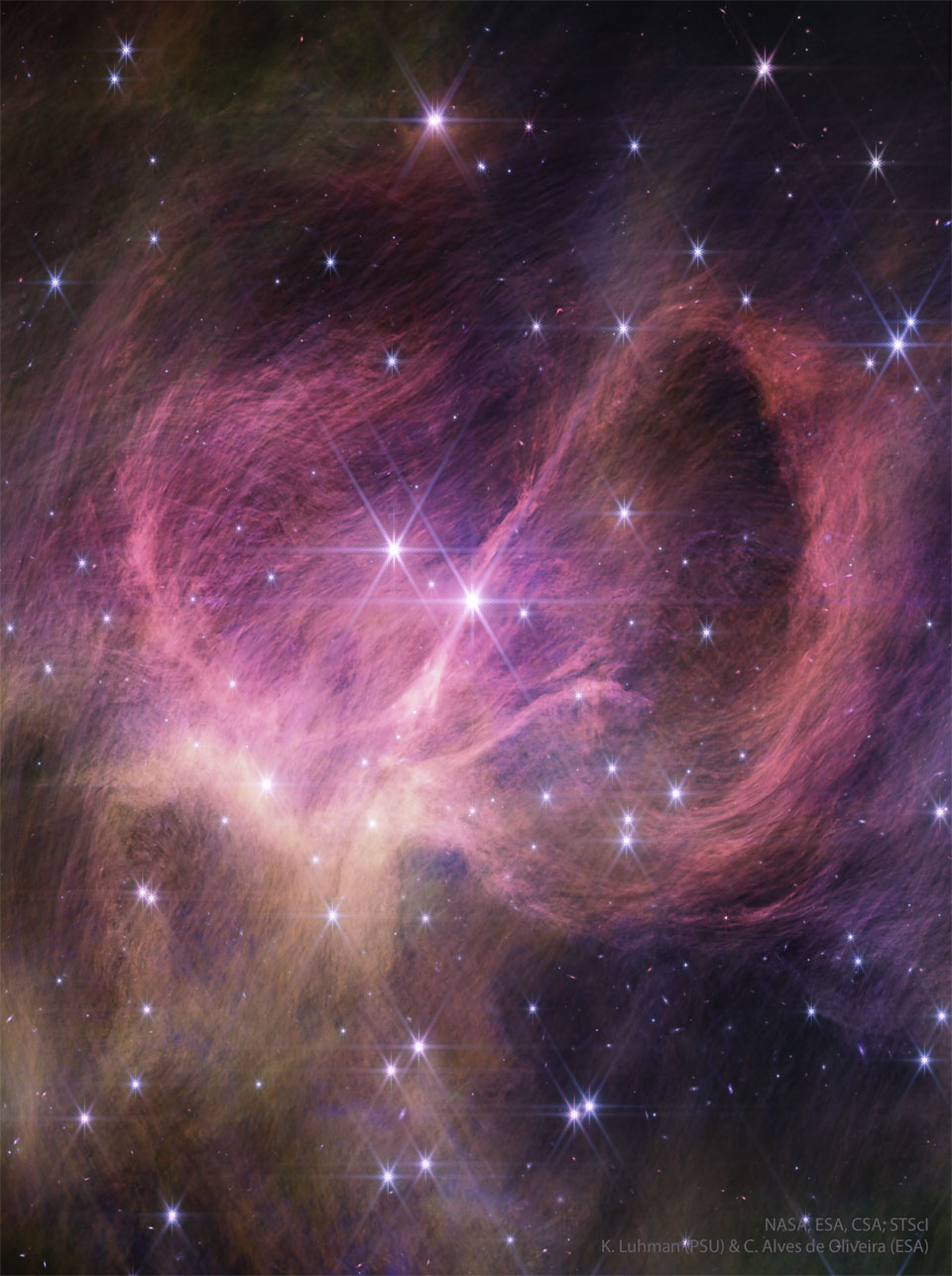 A cluster of stars is shown along with surrounding nebular gas a
and dust. Shown in infrared light in pink, the dust winds around the 
nebula center and itself appears composed of many finer filaments.
Please see the explanation for more detailed information.