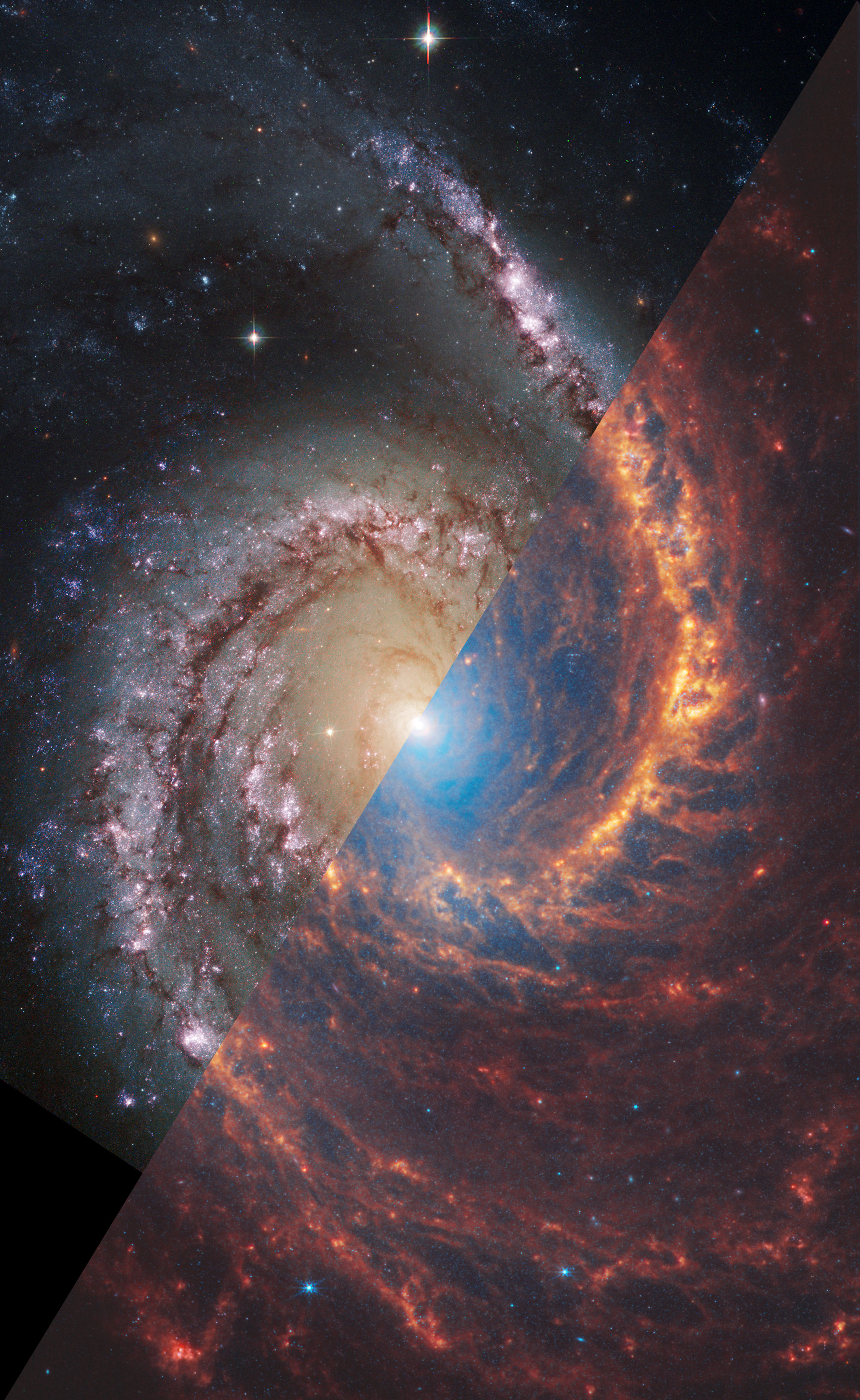 NGC 1566; Una galaxia espiral desde Webb y Hubble