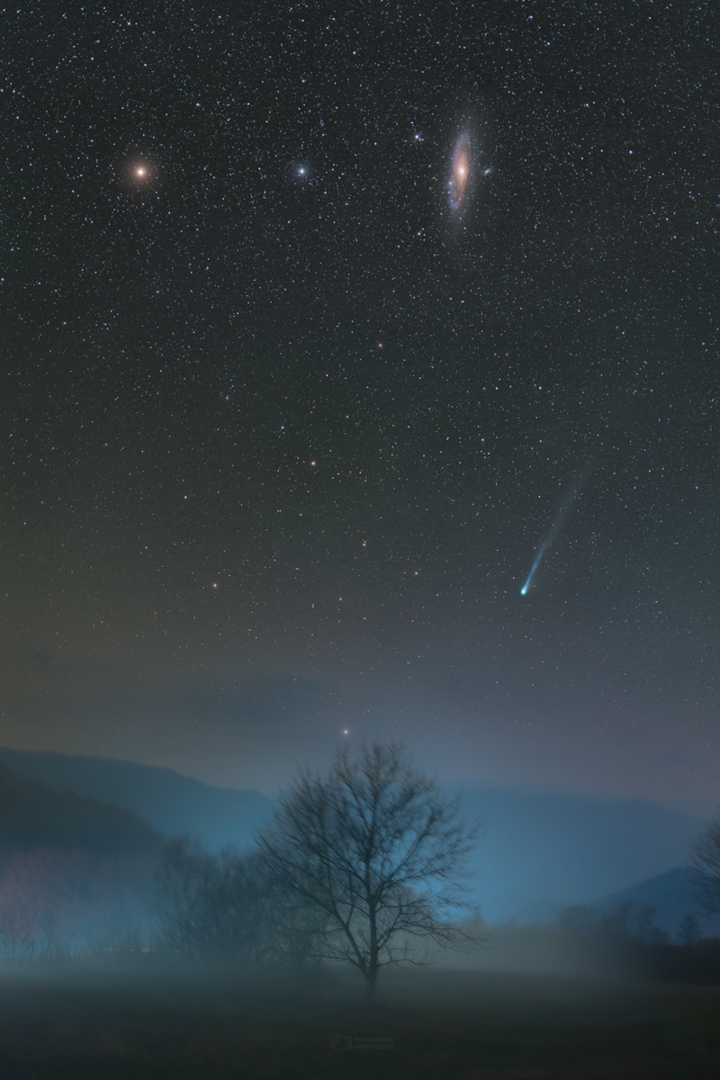 Comet Pons-Brooks in Northern Spring