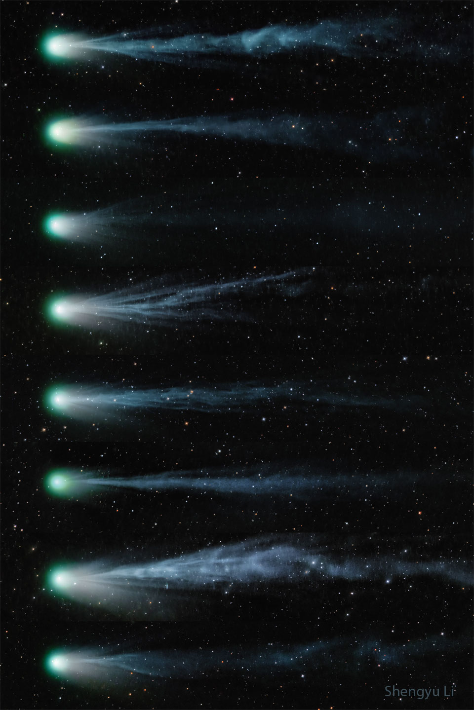 A sequence of eight images of Comet Pons-Brooks, from top
to bottom, showing the comet and its changing tail over
9 days. The ion tail looks very different in each of the
images, sometimes being much more complex than other times.
Please see the explanation for more detailed information.