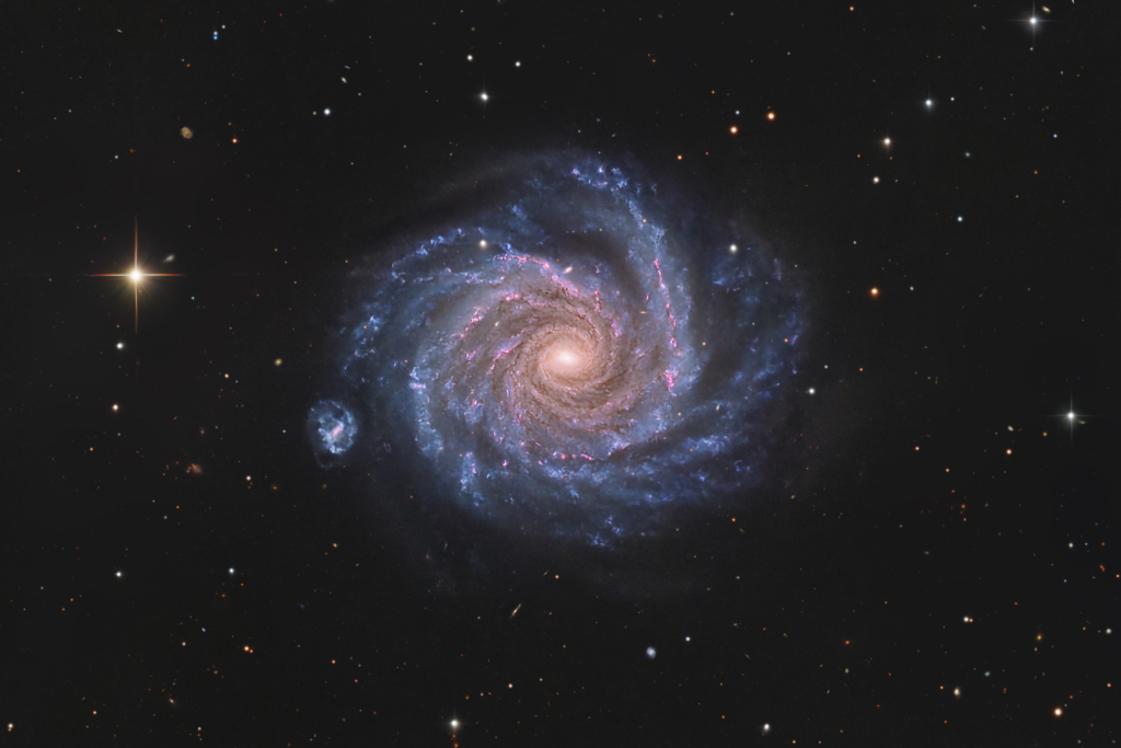 De frente a NGC 1232