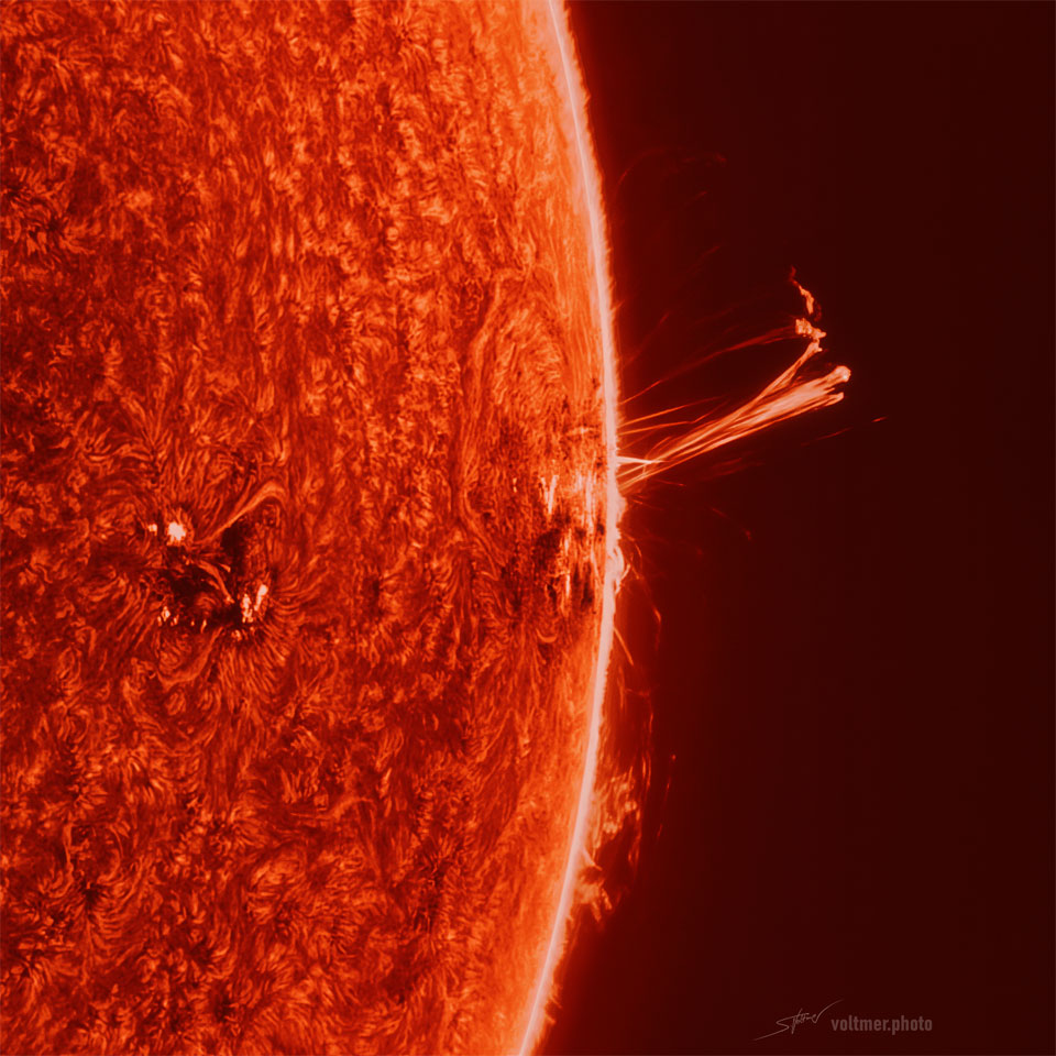Part of the Sun is pictured, oriented as the right
edge. The surface is textured like a carpet. Over the edge
a long multi-pronged prominence stands out. Behind the Sun
is the darkness of space. 
Please see the explanation for more detailed information.