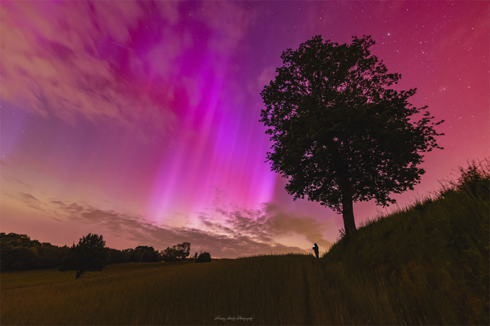 Red and purple aurora appear over a field in Poland.
A tree is seen to the right, and a person stands in the 
distance holding a glowing phone. 
Please see the explanation for more detailed information.