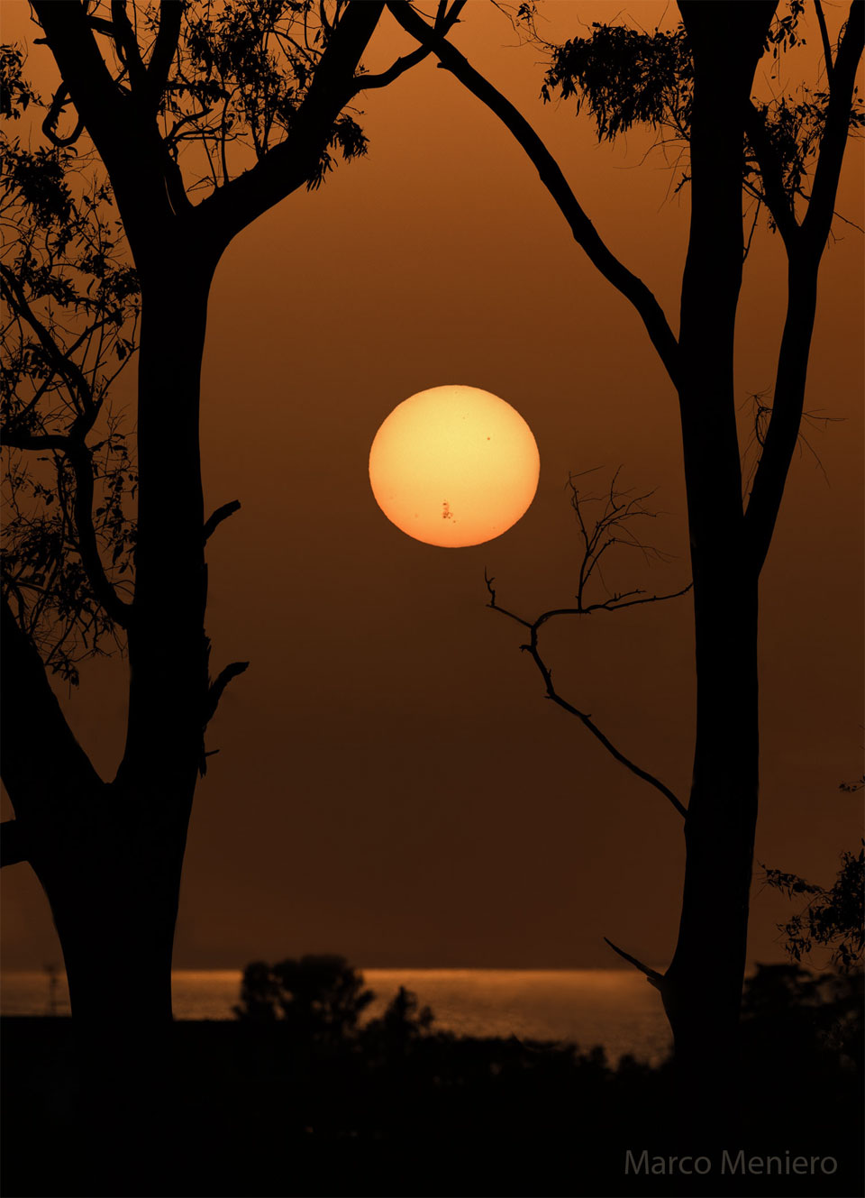 A distant Sun is seen over water and between foreground
trees. On the lower part of the Sun is the gigantic
active region AR 3664 visible by its dark sunspots.
Please see the explanation for more detailed information.