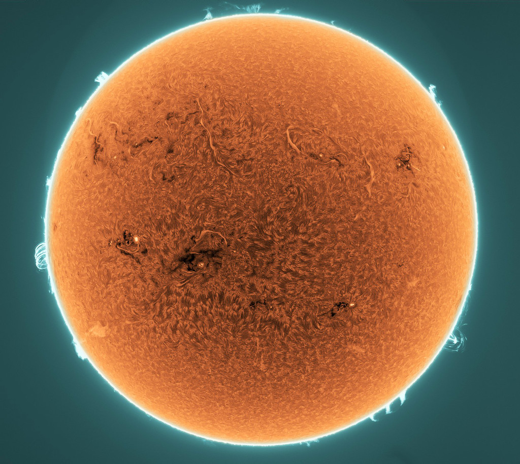 Prominencias y filamentos en el Sol activo
