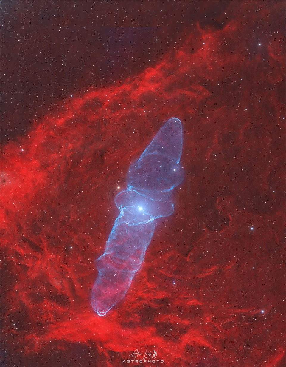 A starfield has a red nebula covering much of the frame
but in the center, extending nearly vertically, is a blue
nebula that appears shaped, to some, like a squid.
Please see the explanation for more detailed information.