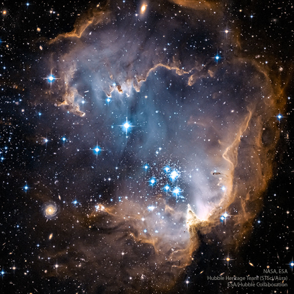 A star cluster is shown in and around a gas cloud that
looks like an oyster. The rollover image shows the same cluster
not only in visible light, but X-ray and infrared too. 
Please see the explanation for more detailed information.
